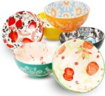 PorcelainBowlsSet(18-Ounce,6-Piece)-forCereal,Soup,Salad,Pasta,Fruit,IceCreamBowlsService-MicrowaveandDishwasherSafe,AssortedDesigns