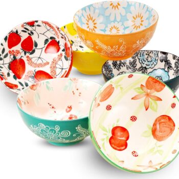 PorcelainBowlsSet(18-Ounce,6-Piece)-forCereal,Soup,Salad,Pasta,Fruit,IceCreamBowlsService-MicrowaveandDishwasherSafe,AssortedDesigns